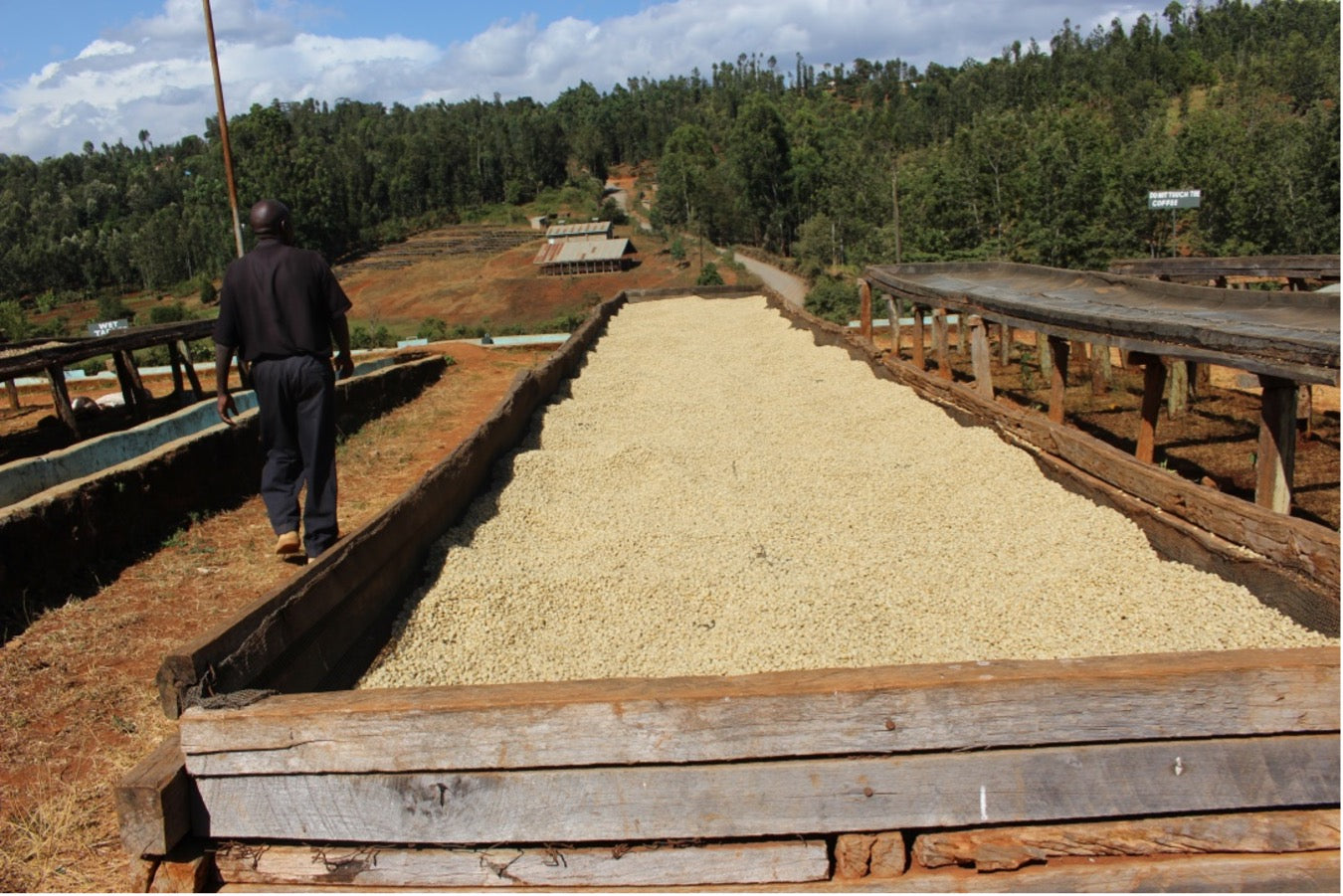 Kenya Riakiberu AB (JUL 26)
