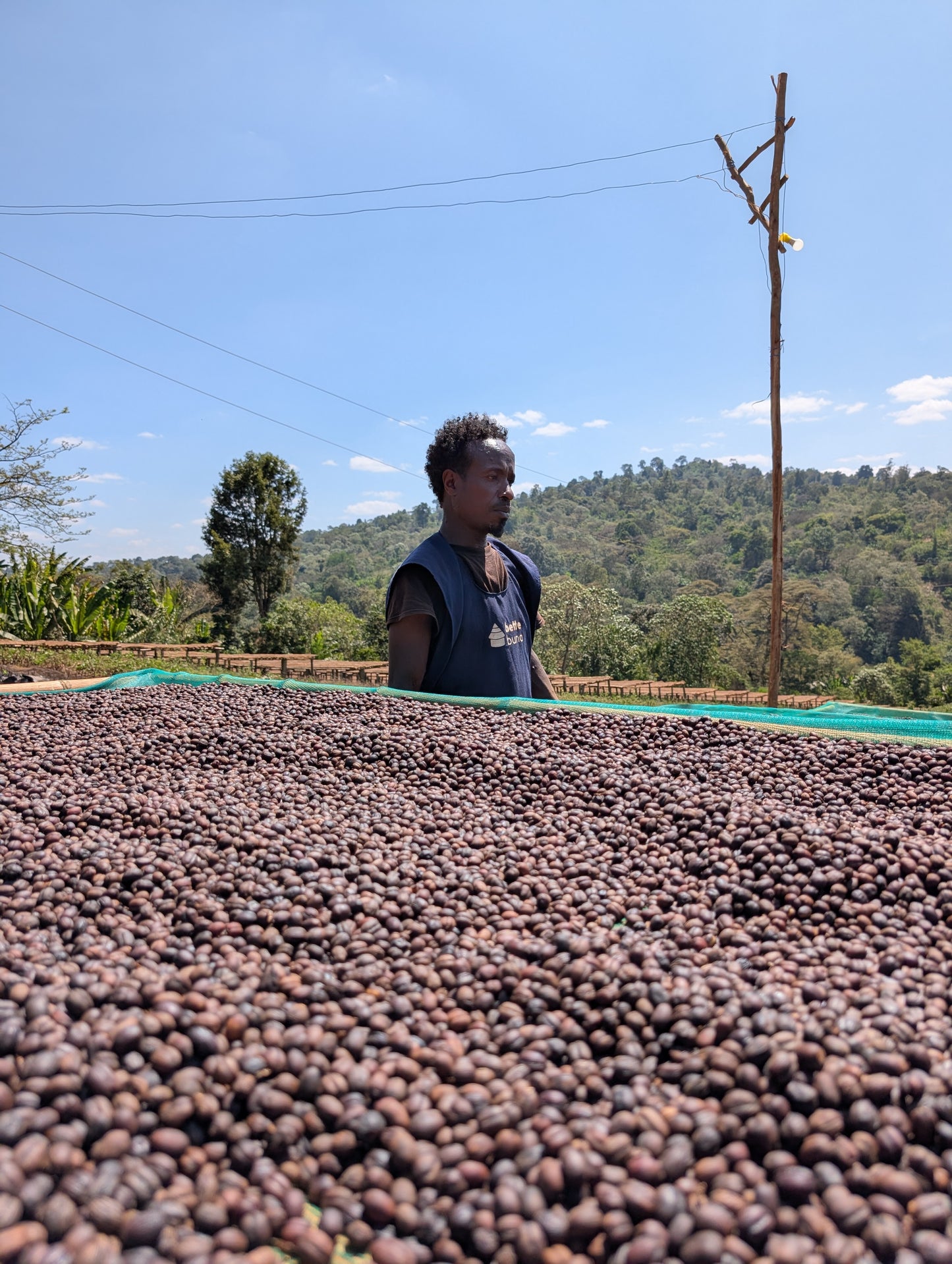Ethiopia Guji Megadu Anaerobic Natural (OCT 25)