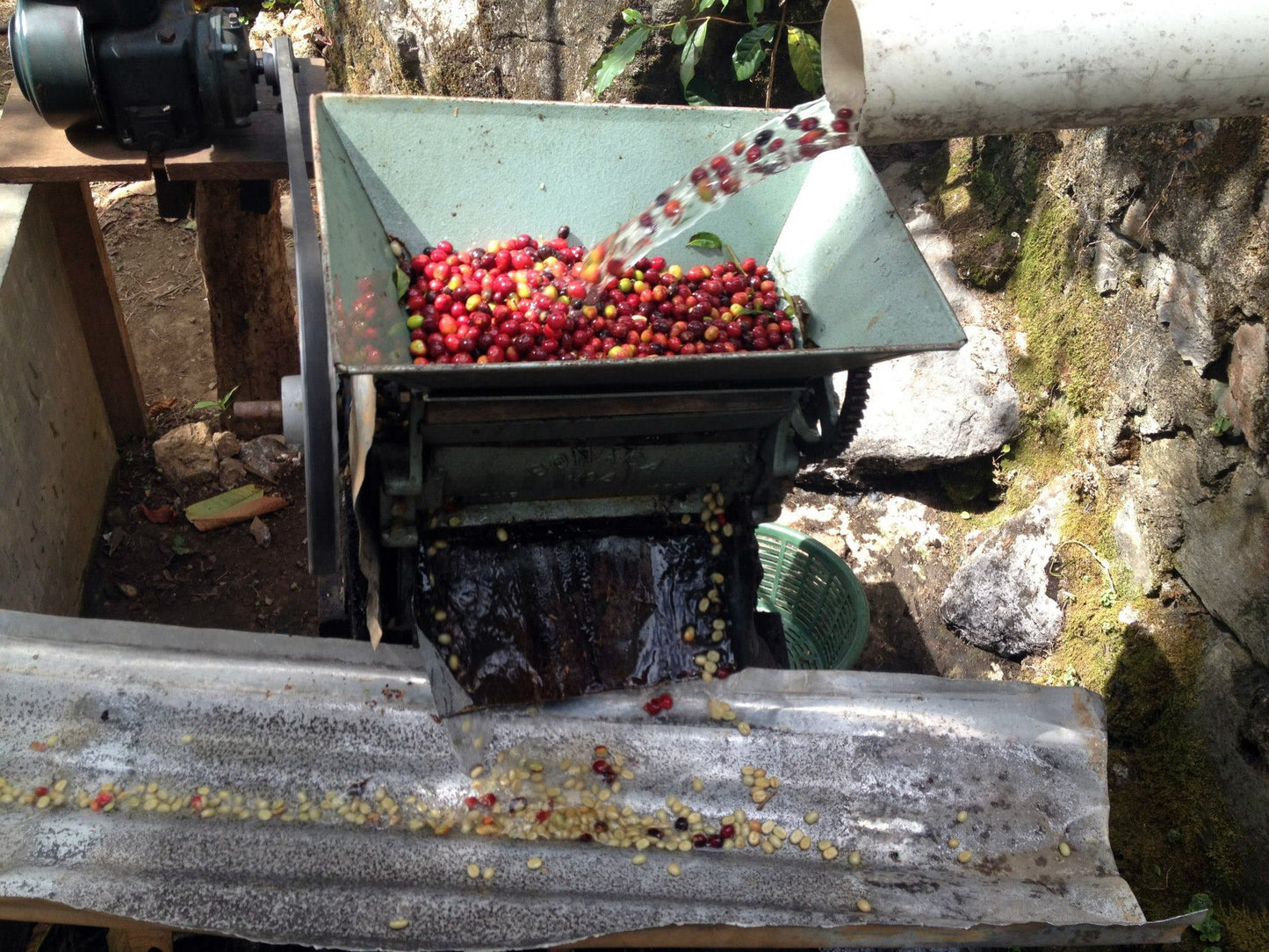 Mexico Chiapas (JUN 26)