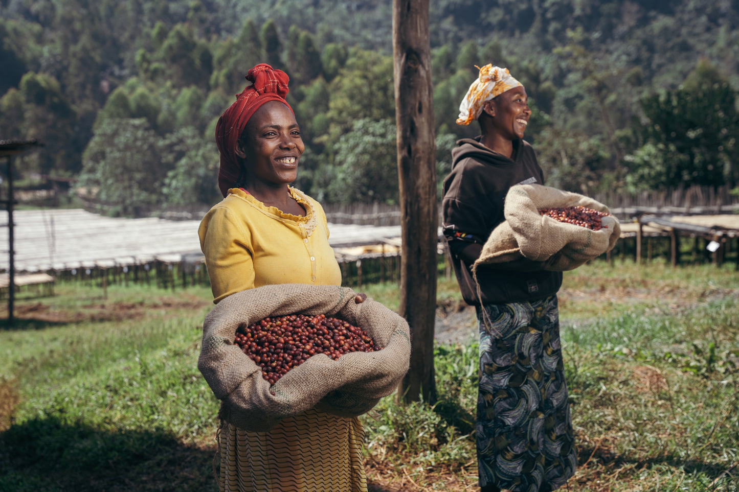 Ethiopia Ayla Shantawene Washed (JUL 26)