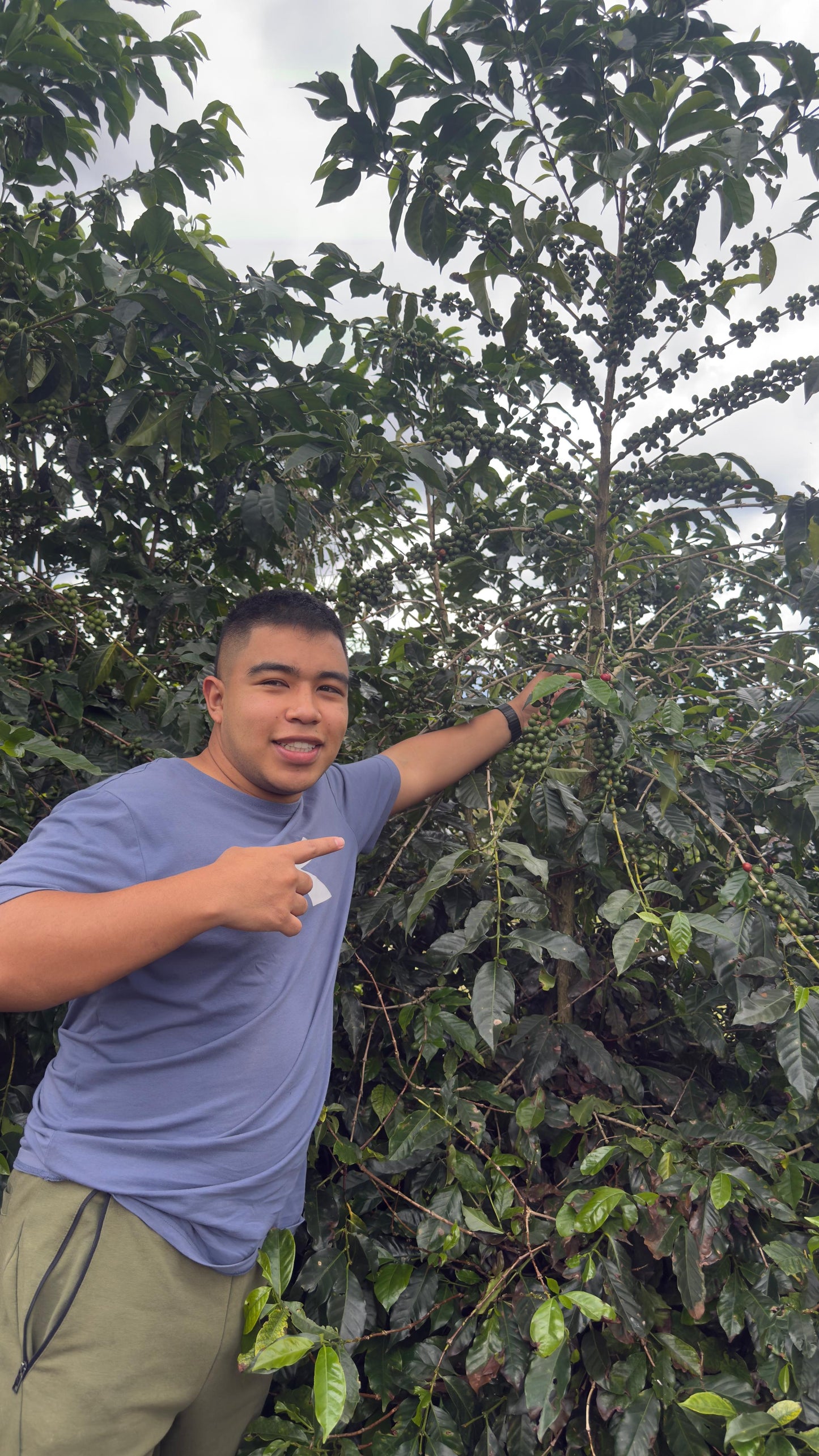 Colombia Andrés Martinez Caturra Floral (FEB 26)