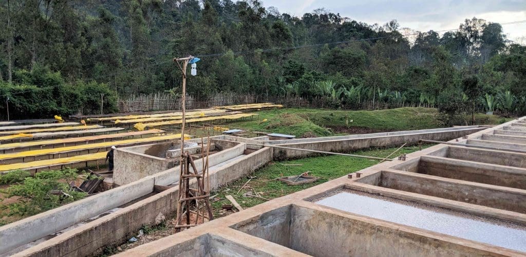 Ethiopia Koke Honey (SEP 26)