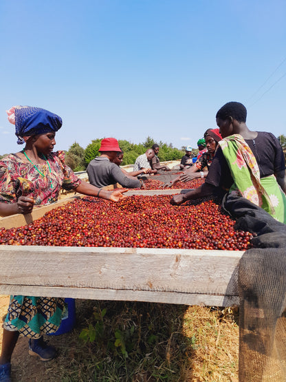 Tanzania Usawa Kahawa AA (APR 26)