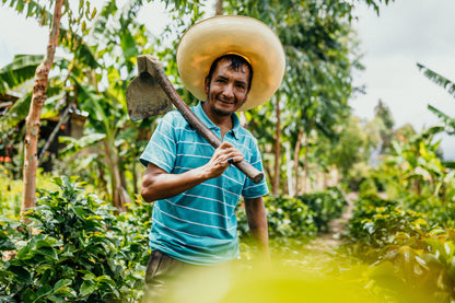 Peru Kovachii