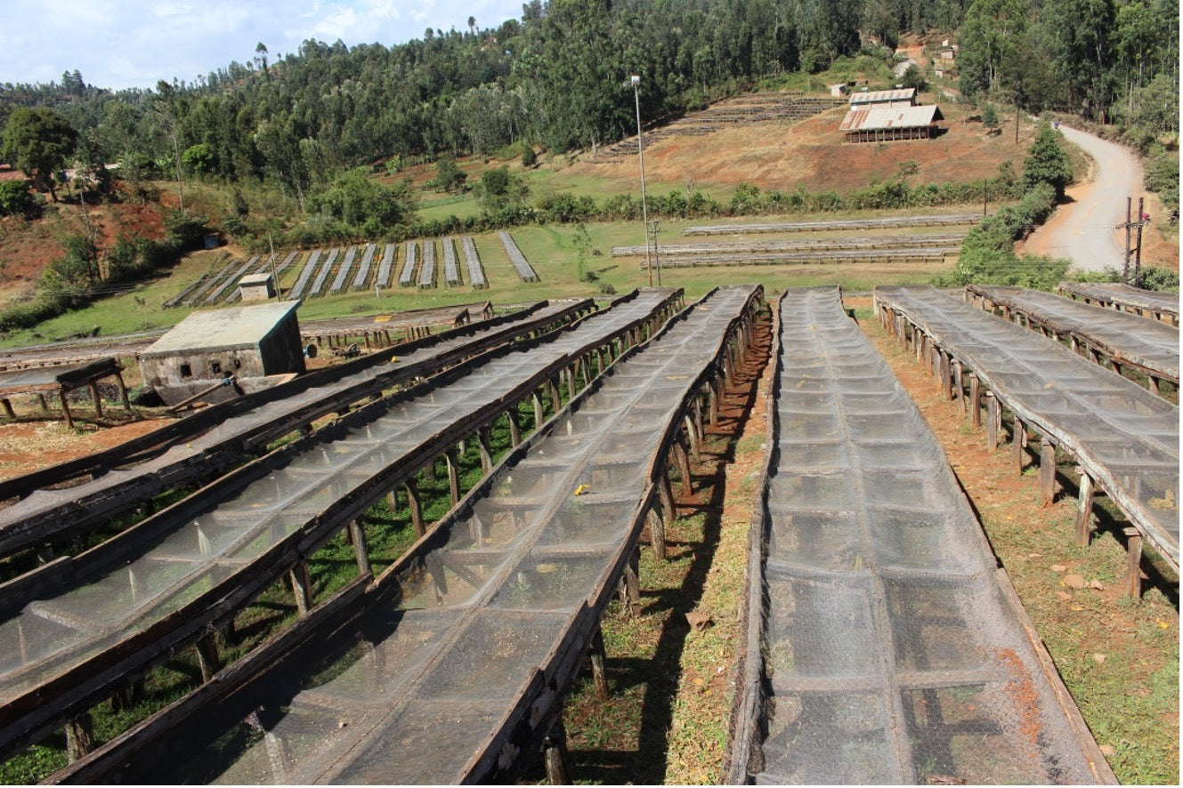 Kenya Riakiberu AB (JUL 26)