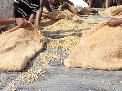 Kenya Kamwangi AB
