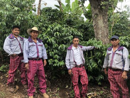 Guatemala ASDECAFE (SEP 25)