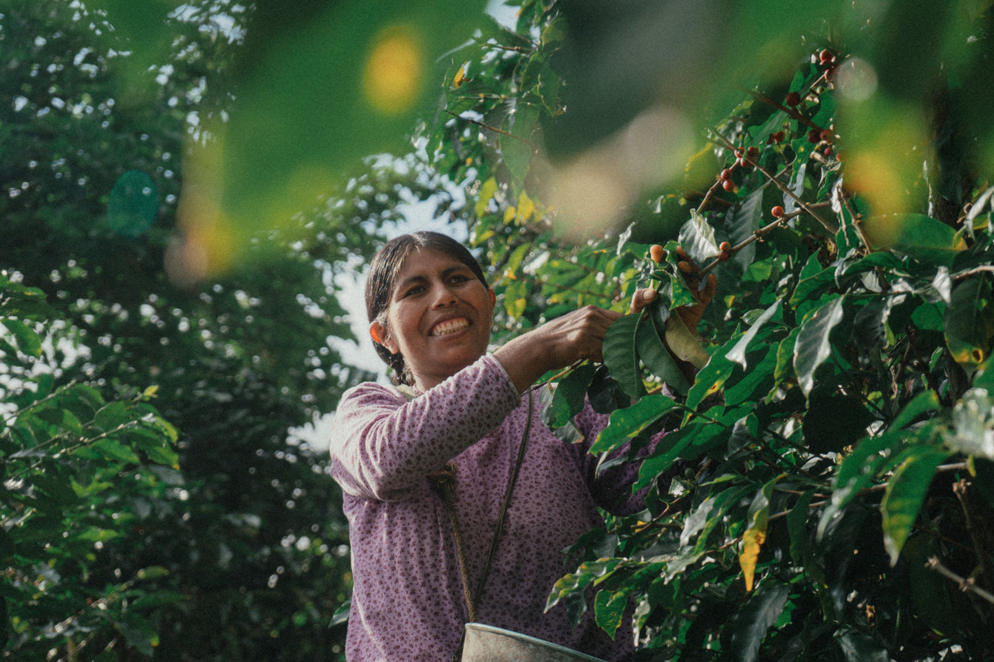 Bolivia Caranavi Aljiri (MAY 26)