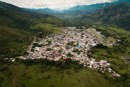 Decaf Colombia Tolima EA (OCT 25)