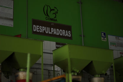 Honduras COMSA Melado Blend