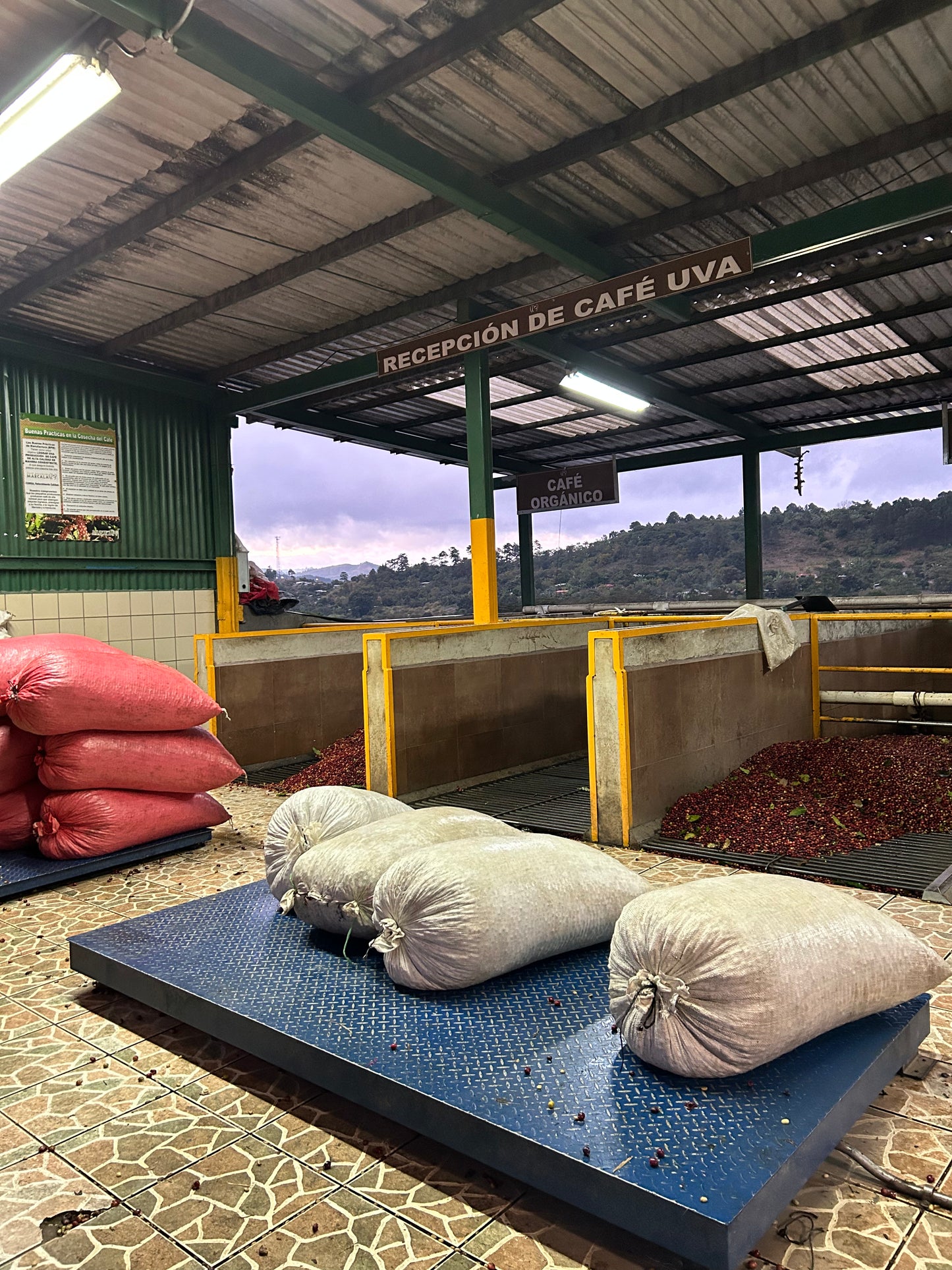 Honduras COMSA Natural