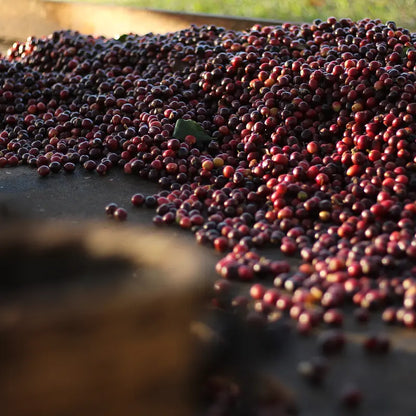 Honduras COMSA Natural
