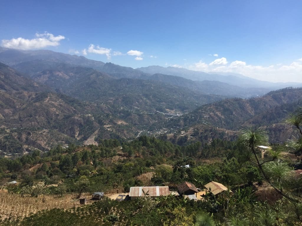 Guatemala Ceiba