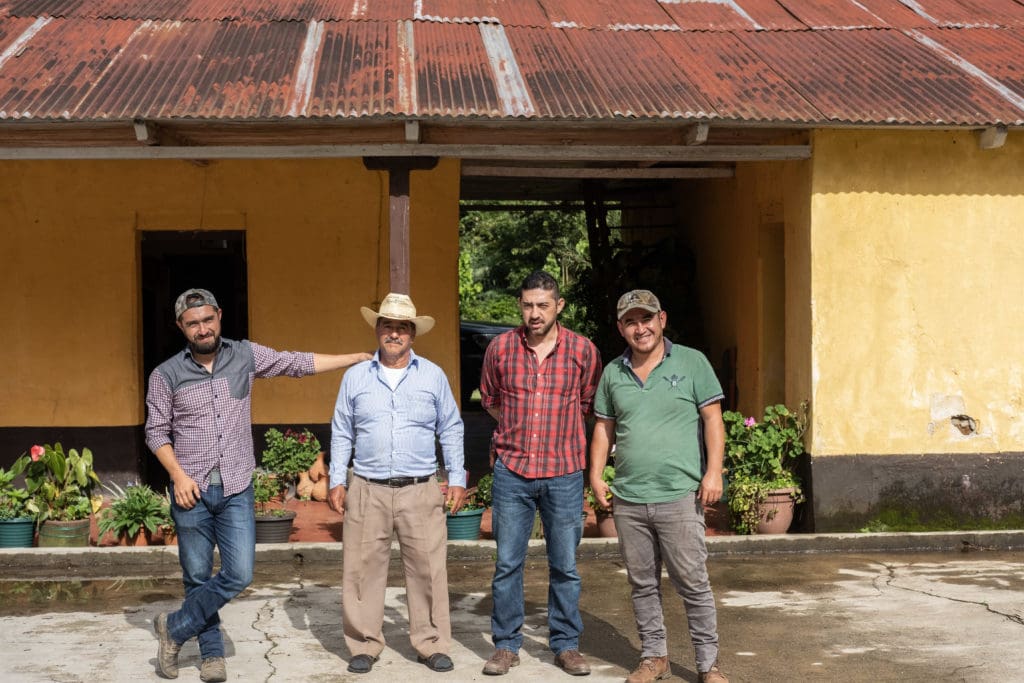 Guatemala Ceiba