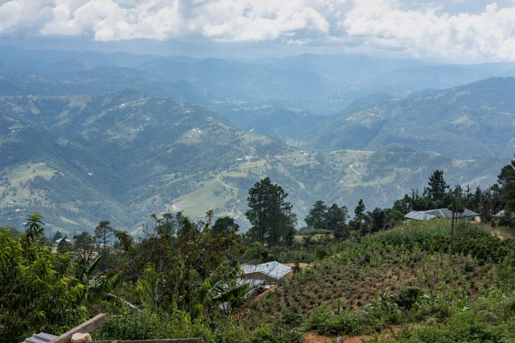 Guatemala Ceiba
