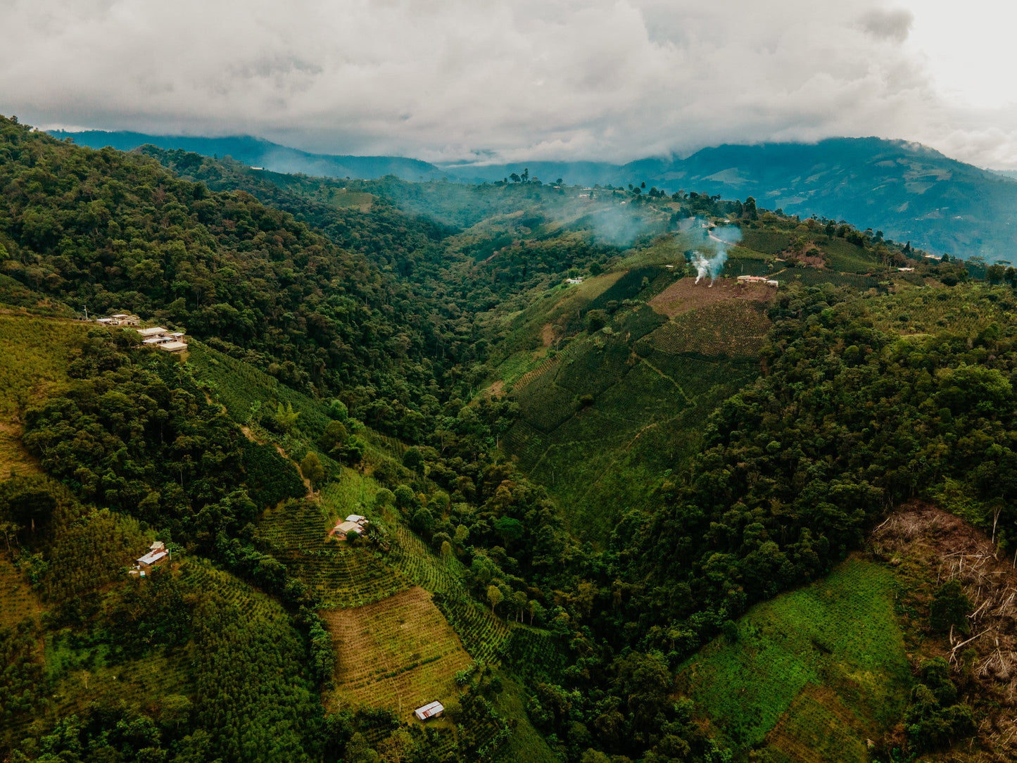 Colombia Dulima