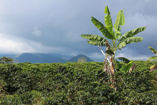 Colombia Asobombo (MAY 26)
