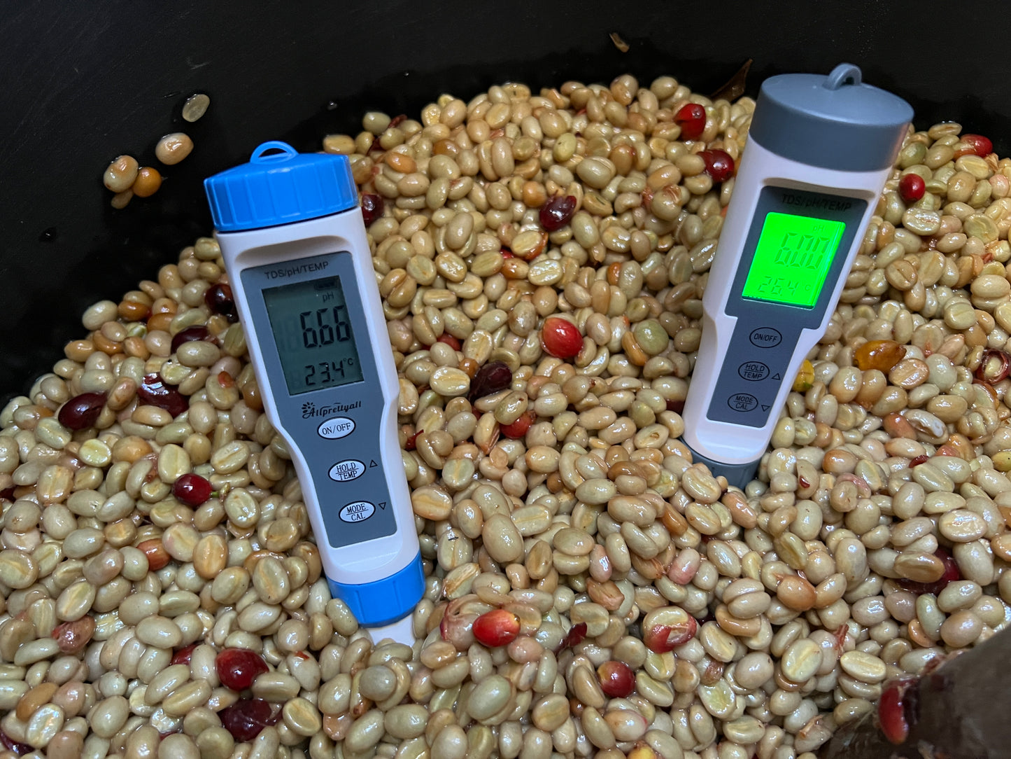 Ecuador El Sauce (JAN 26)