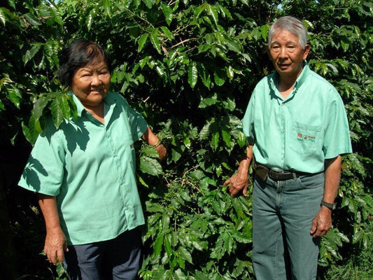 Brazil Catanduva Farm (JUL 26)