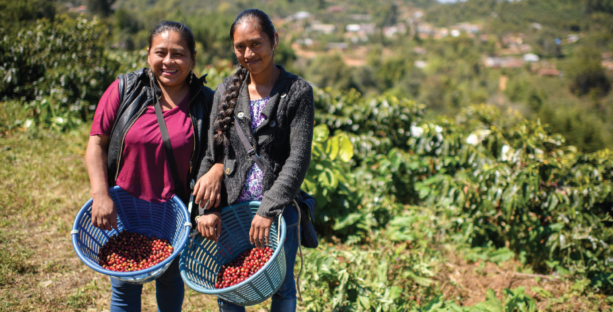 Guatemala Manos de Mujer (APR 26)