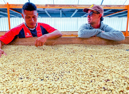 Peru Churupampa (DEC 25)