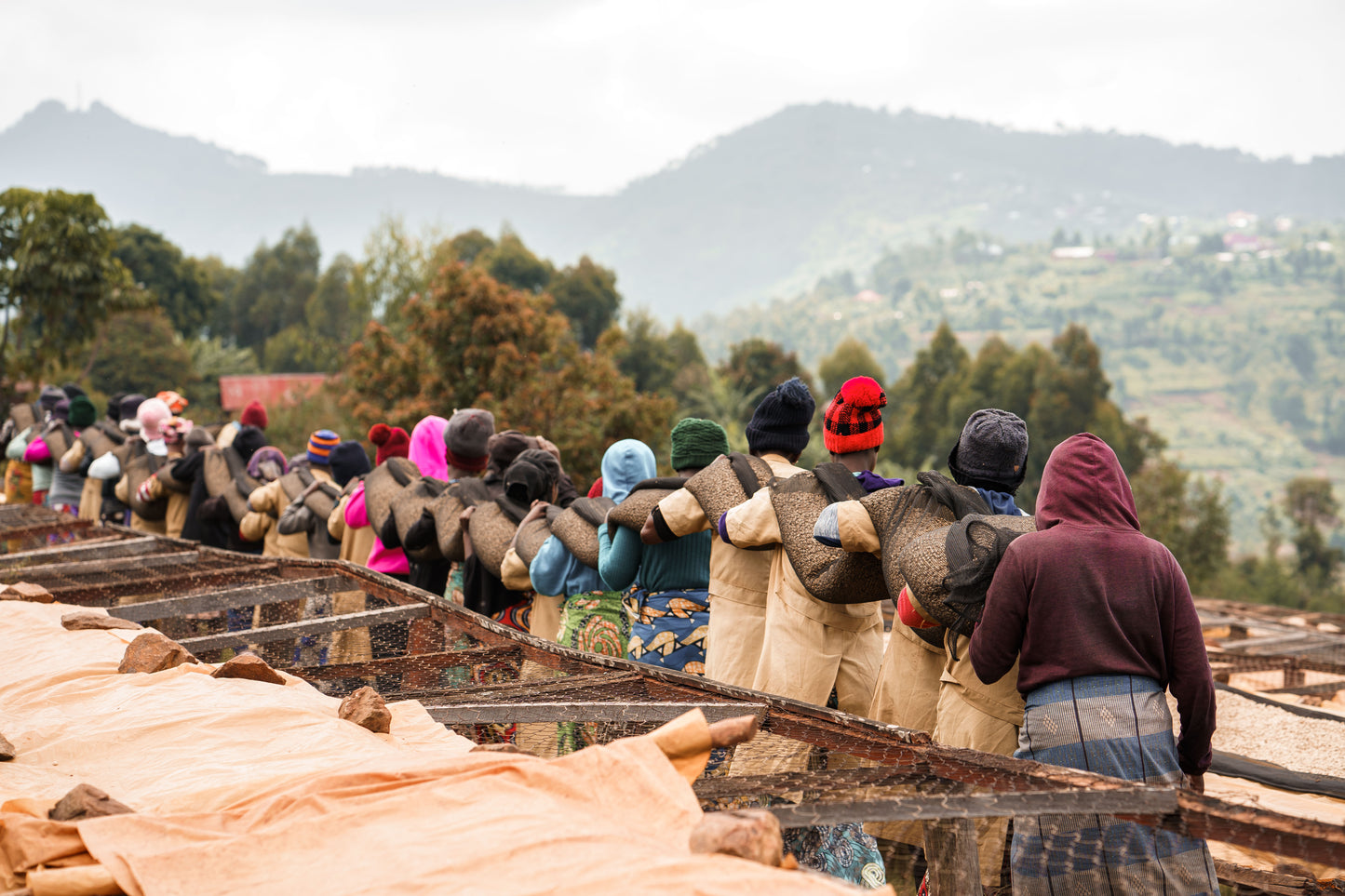 Rwanda Ruli