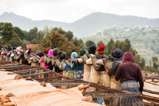 Rwanda Ruli