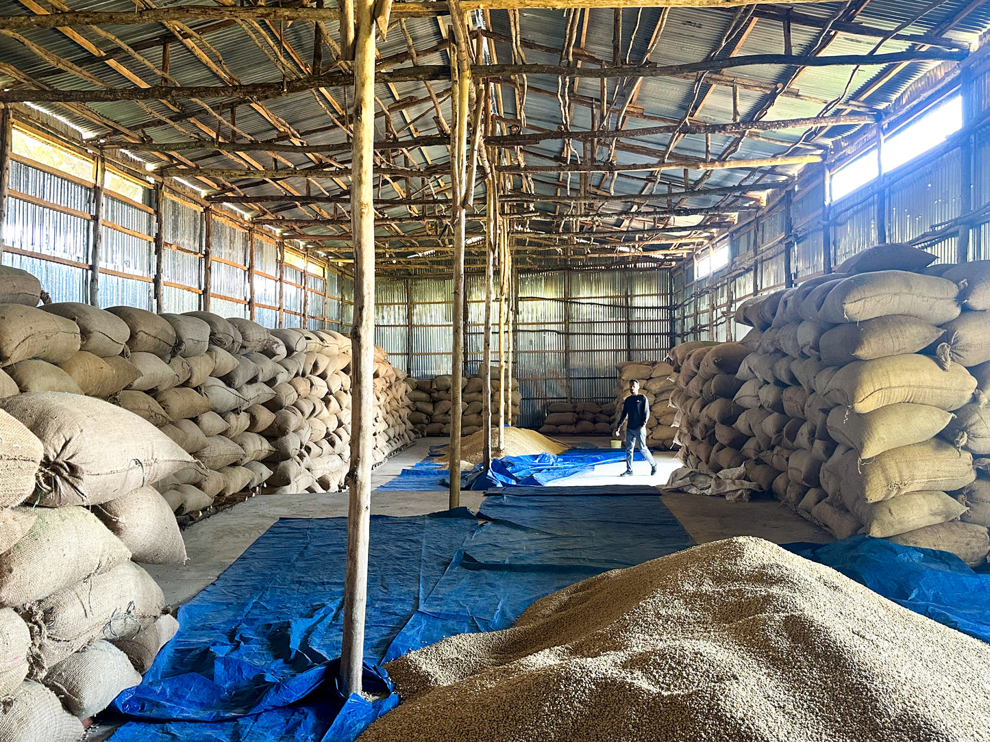 Ethiopia Limmu Kossa (JUN 26)