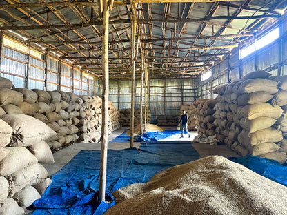 Ethiopia Limmu Kossa (JUN 26)