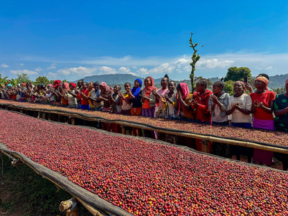 Shanta Golba Natural (OCT 24)