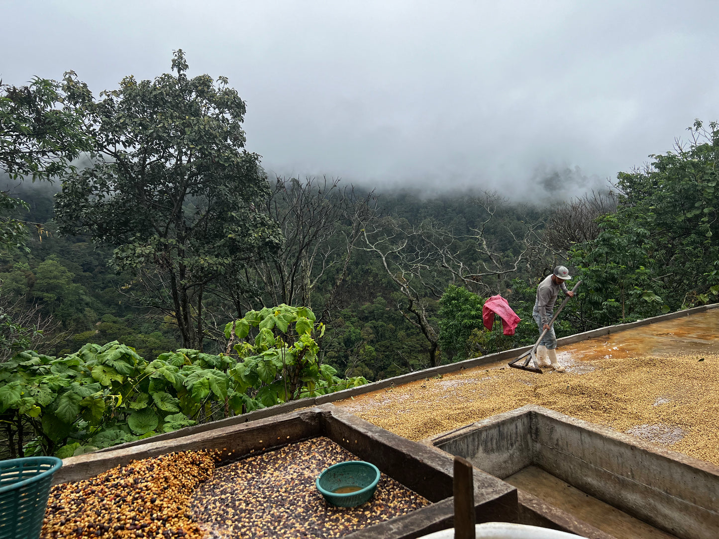 Mexico Sierra Azul (JUN 26)