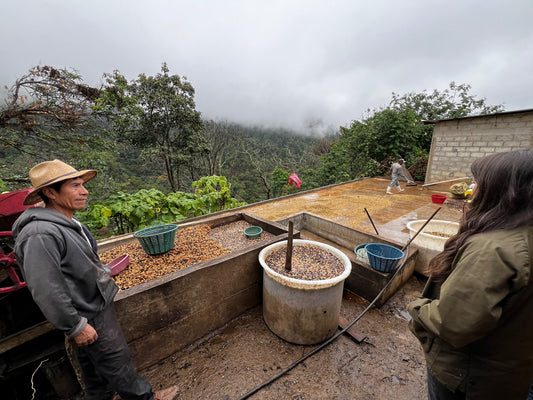 Mexico Sierra Azul (OCT 25)