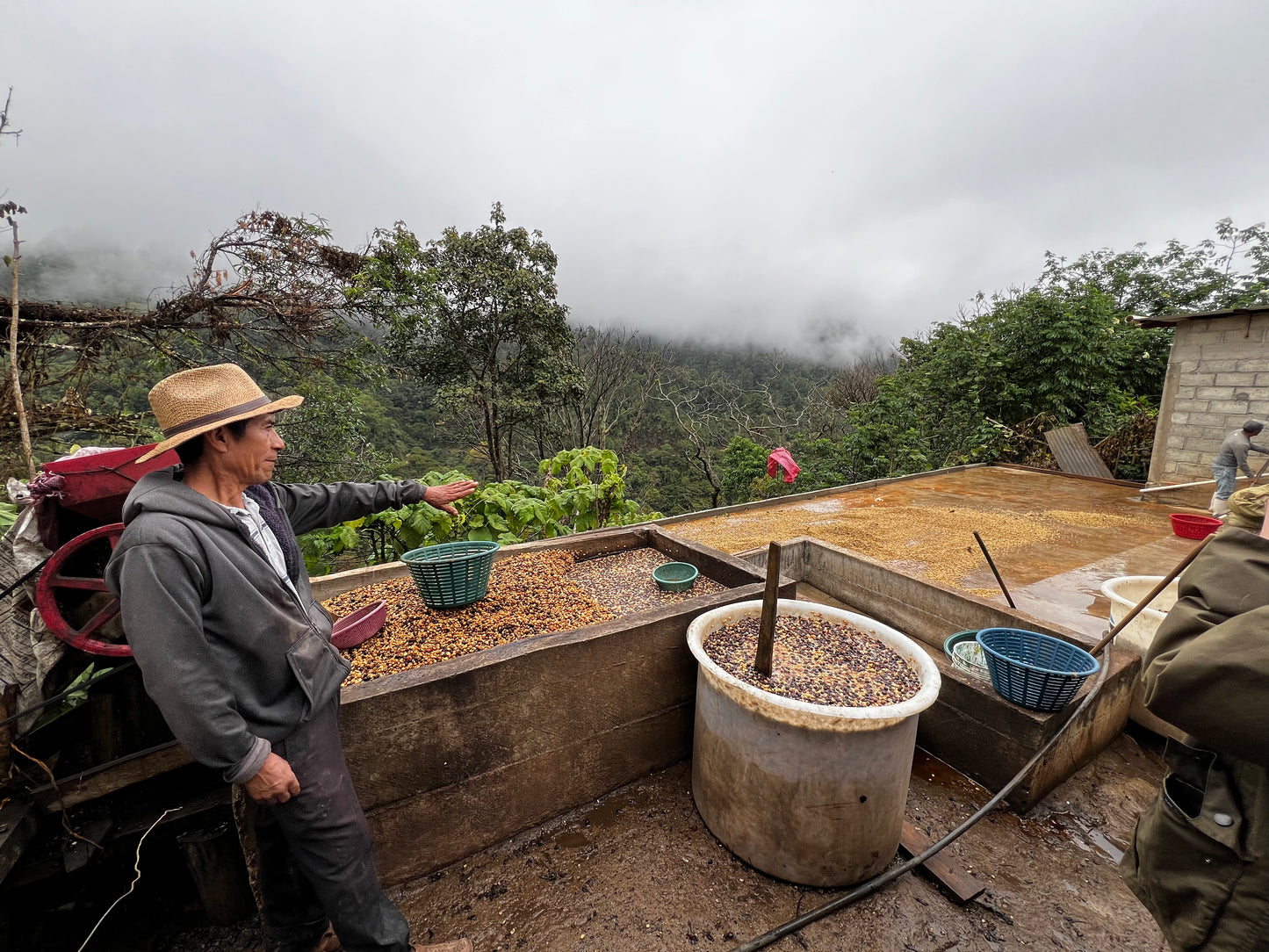 Mexico Sierra Azul (JUN 26)