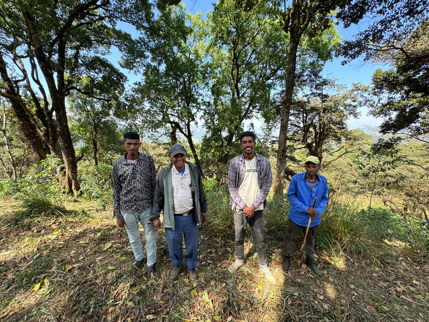 Ethiopia Limmu Kossa (JUN 26)