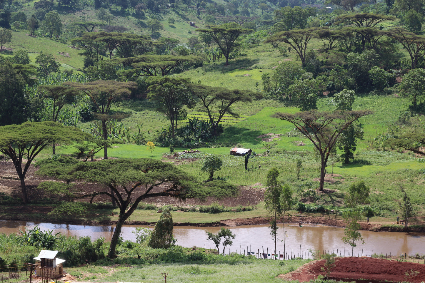 Ethiopia Anasora Site Natural (JUL 26)