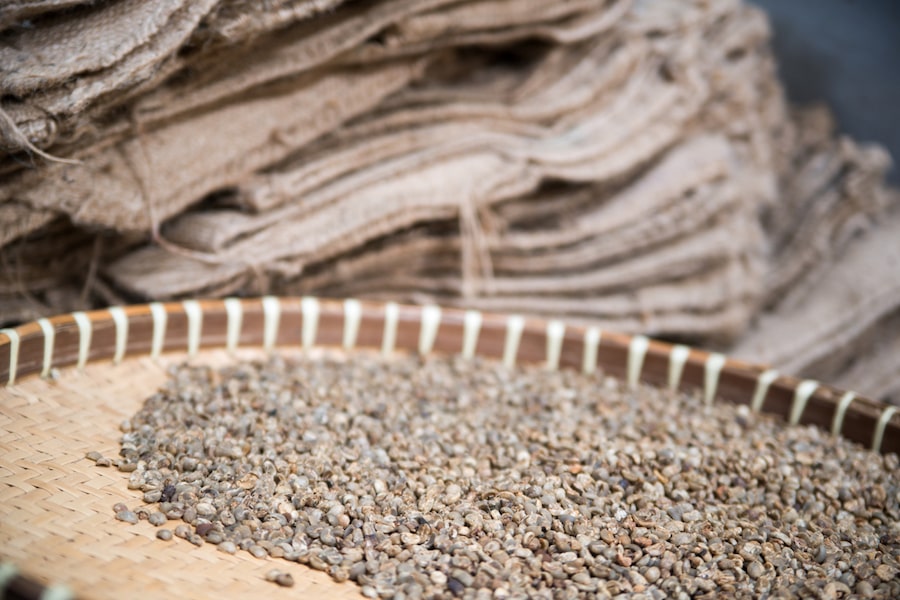 Sumatra Buana Mandiri (NOV 25)