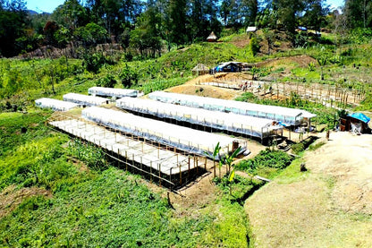 Papua New Guinea Kinmuga PB (DEC 25)