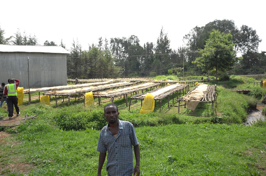 Ethiopia Yukro Washed (SEP 25)