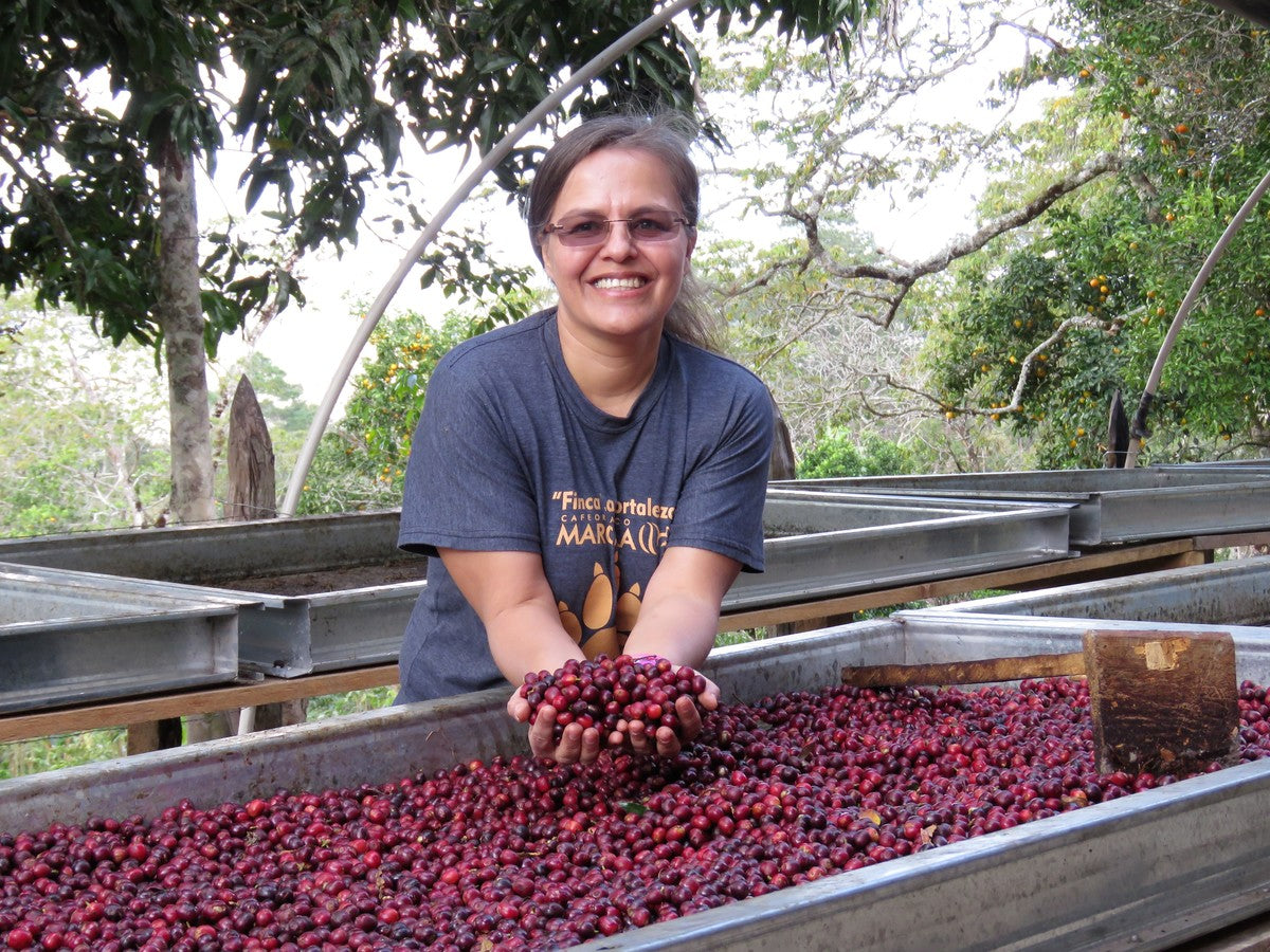 Honduras COMSA Natural