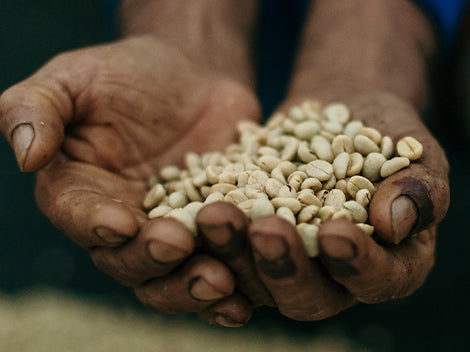 Guatemala San Martin