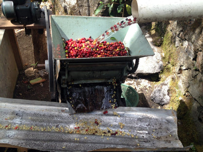 Mexico Chiapas (JUN 26)