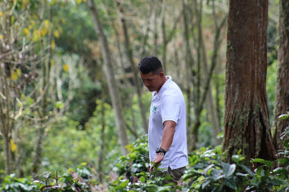 Colombia El Silencio Pink Bourbon (JAN 26)