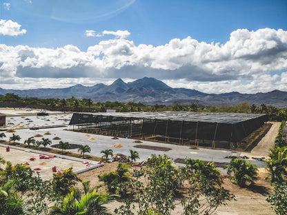 Nicaragua Los Ocotes (JUN 26)