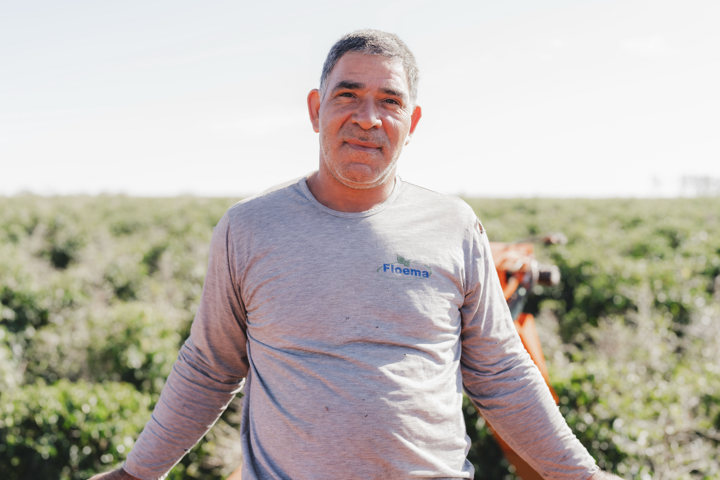 Brazil Parceiros do Cafe (AUG 25)