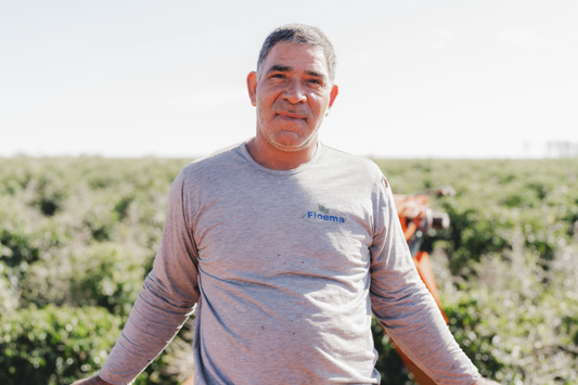 Brazil Parceiros do Cafe (AUG 25)