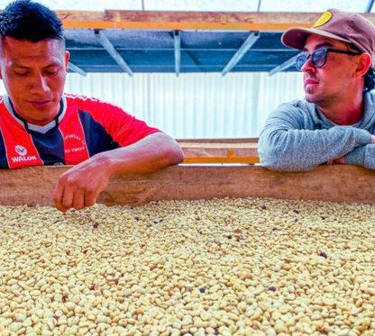 Peru Churupampa