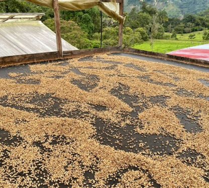Colombia Gaitania