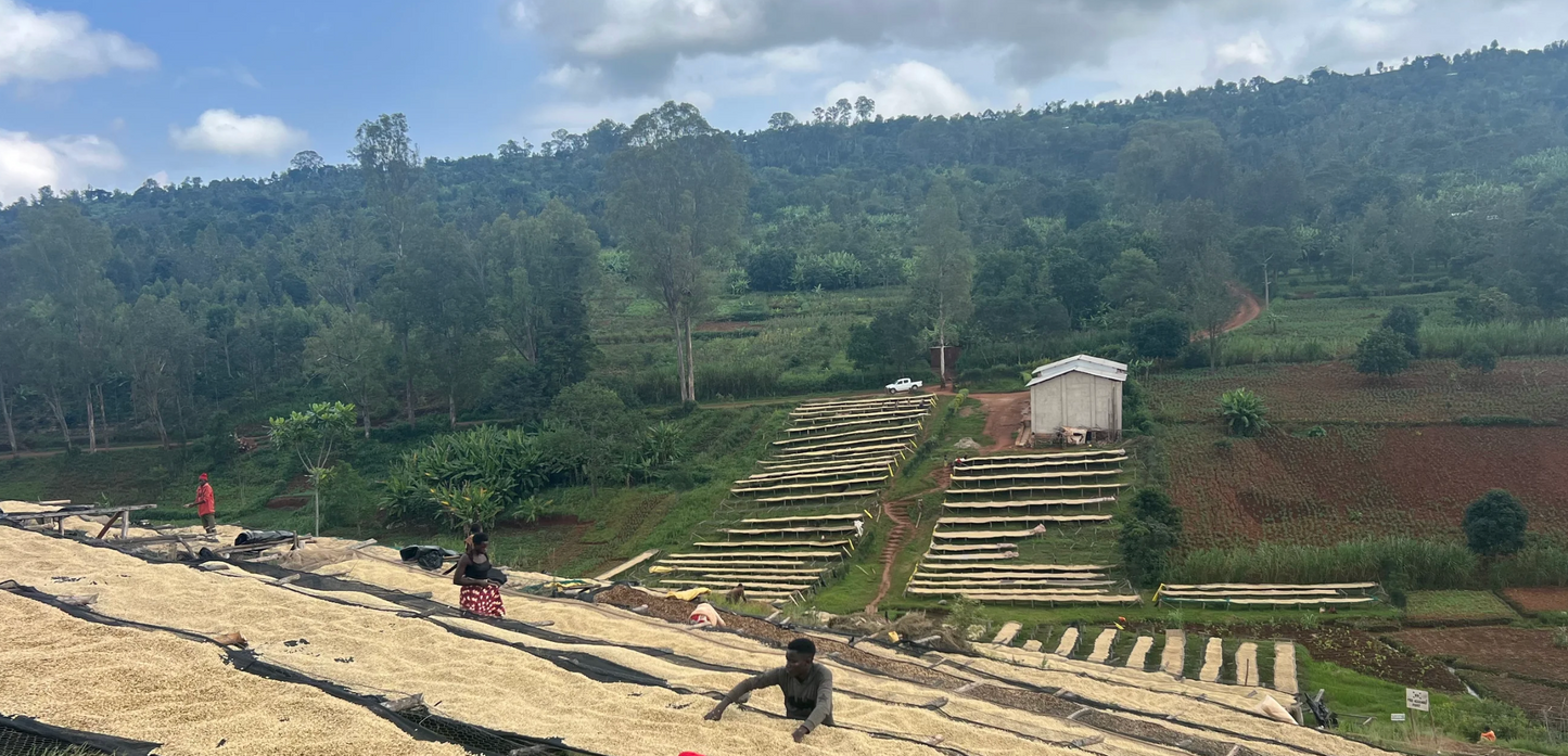Burundi Busasa
