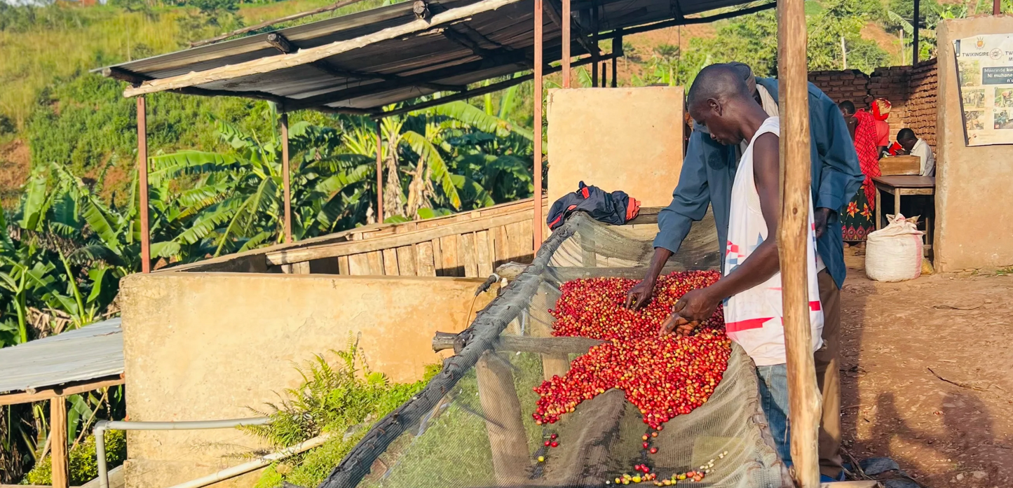 Burundi Busasa