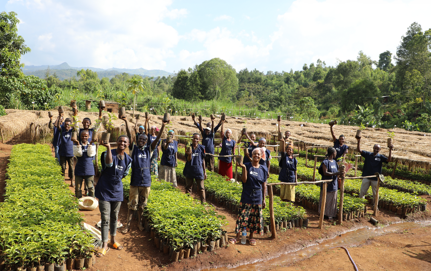 Ethiopia Bette Buna Natural (JAN 26)